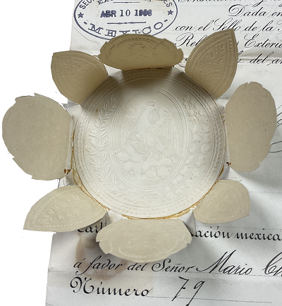 Carta de Nacionalizacion 2